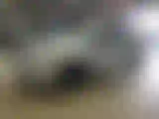 Vehicle Image- 2014 Dodge Journey