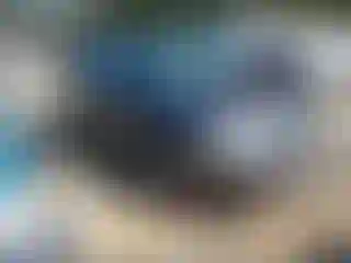 Vehicle Image- 2015 Dodge Journey