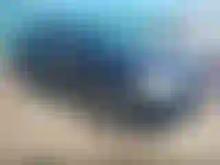 Vehicle Image- 2014 Dodge Journey