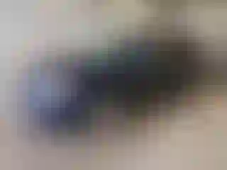 Vehicle Image- 2017 Dodge Journey