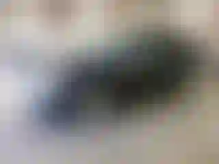 Vehicle Image- 2013 Dodge Journey