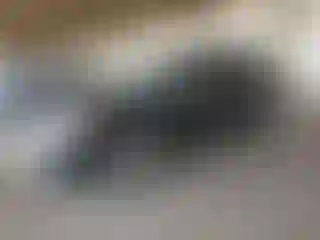 Vehicle Image- 2015 Dodge Journey