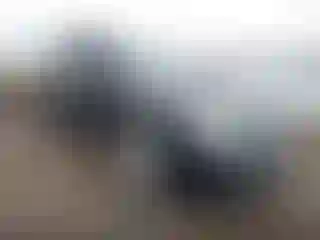 Vehicle Image- 2012 Dodge Journey