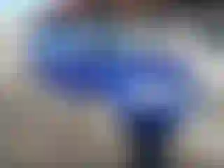 Vehicle Image- 2012 Dodge Journey