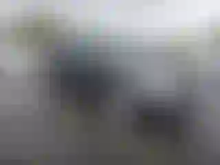 Vehicle Image- 2017 Dodge Journey