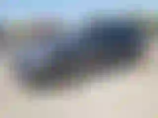 Vehicle Image- 2016 Dodge Journey