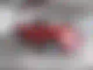 Vehicle Image- 2012 RAM 1500