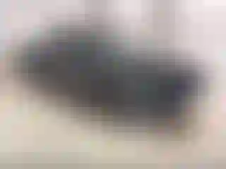 Vehicle Image- 2017 RAM 1500