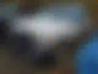 Vehicle Image- 2016 RAM 1500