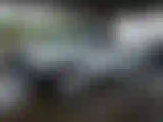Vehicle Image- 2022 RAM 1500