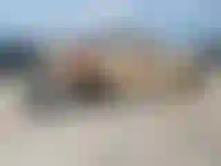 Vehicle Image- 2023 RAM 1500