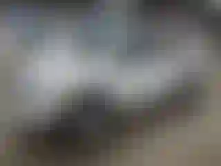 Vehicle Image- 2019 RAM 1500