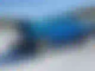 Vehicle Image- 2022 RAM 1500