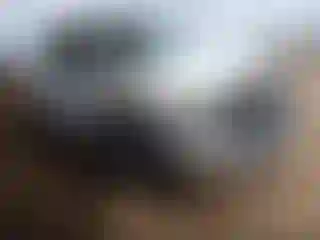 Vehicle Image- 2017 RAM 1500