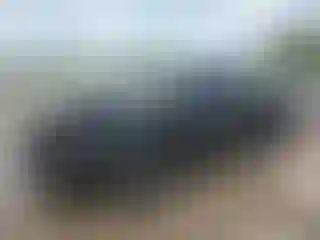 Vehicle Image- 2017 RAM 1500