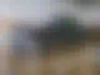 Vehicle Image- 2018 RAM 1500