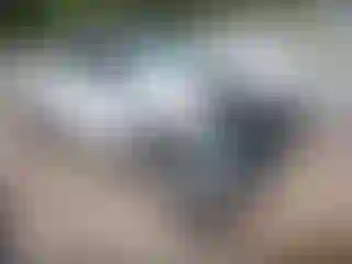 Vehicle Image- 2022 RAM 1500