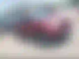 Vehicle Image- 2008 Honda CR-V