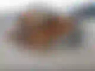 Vehicle Image- 2022 Honda HR-V