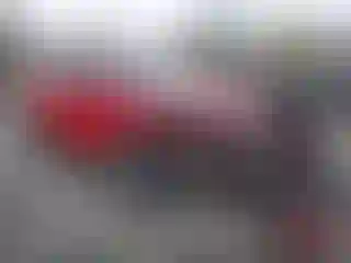 Vehicle Image- 2017 Honda HR-V