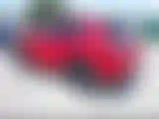 IMPORTOWO.pl