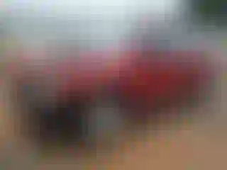 Vehicle Image- 2009 Dodge Journey