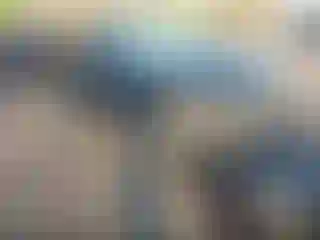 Vehicle Image- 2009 Dodge Journey