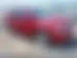 Vehicle Image- 2009 Dodge Journey