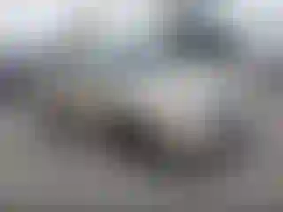 Vehicle Image- 2011 Dodge Journey