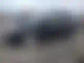 Vehicle Image- 2011 Dodge Journey