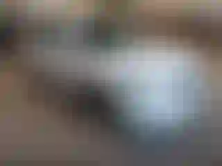 Vehicle Image- 2011 Dodge Journey