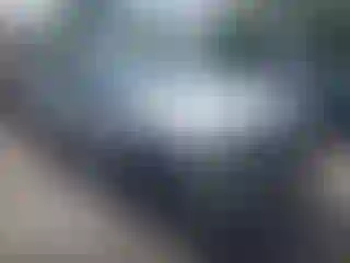 Vehicle Image- 2002 Dodge RAM 1500