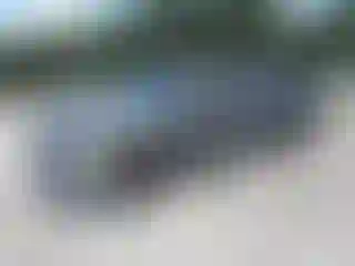 Vehicle Image- 2002 Dodge RAM 1500
