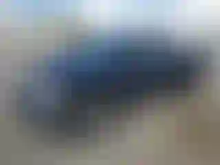 Vehicle Image- 2002 Dodge RAM 1500