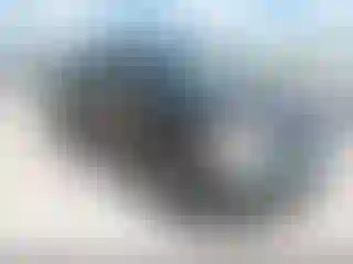 Vehicle Image- 2010 Dodge RAM 1500