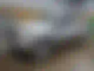 Vehicle Image- 2006 Dodge RAM 1500