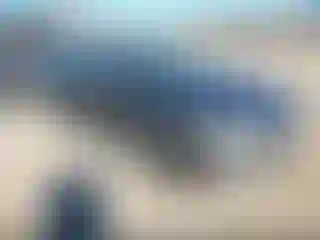 Vehicle Image- 2019 Ford Fusion