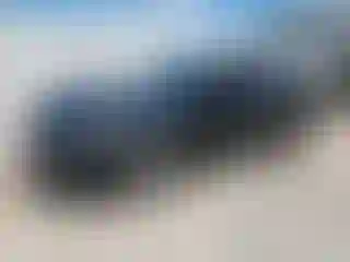 Vehicle Image- 2019 Ford Fusion