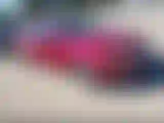 Vehicle Image- 2017 Ford Fusion