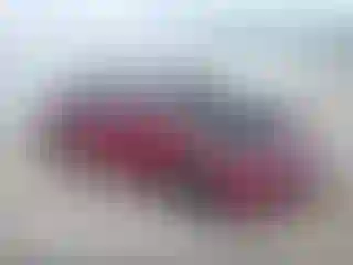 Vehicle Image- 2019 Ford Fusion