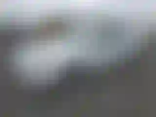 Vehicle Image- 2019 Ford Fusion