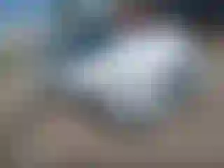 Vehicle Image- 2013 Ford Fusion