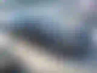 Vehicle Image- 2016 Ford Fusion