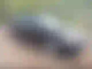 Vehicle Image- 2020 Ford Fusion