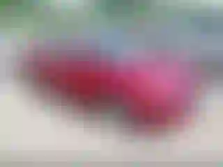 Vehicle Image- 2020 Ford Fusion