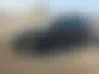 Vehicle Image- 2016 Ford Fusion