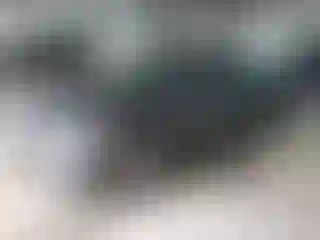 Vehicle Image- 2016 Ford Fusion