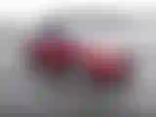 Vehicle Image- 2016 Ford Fusion