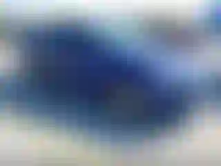 Vehicle Image- 2016 Ford Fusion