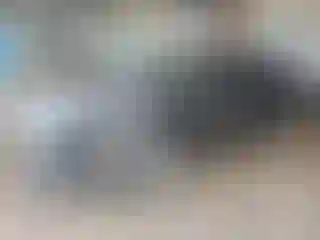 Vehicle Image- 2013 Ford Fusion